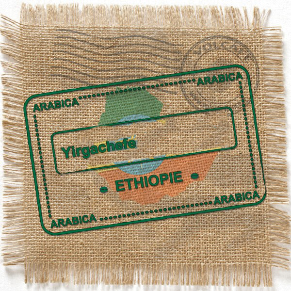 mocca yirgachefe Ethiopie