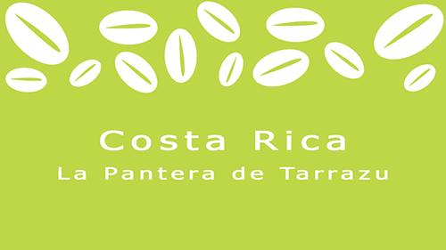 La Pantera Tarrazu Costa Rica Costa-Rica