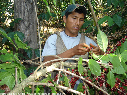 Custepec Mexique Mexique