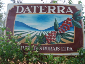 Daterra Cerrado Bourbon Brésil Brésil